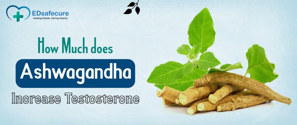 How Much does Ashwagandha Increase Testosterone
