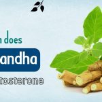 How Much does Ashwagandha Increase Testosterone